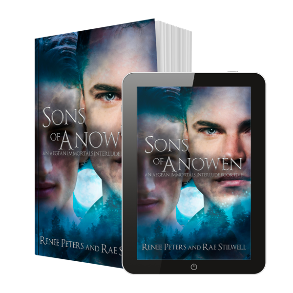 An ebook and print book of Sons of Anowen